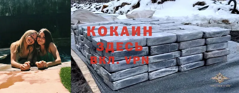 shop формула  Трубчевск  Cocaine Эквадор  кракен ссылки 